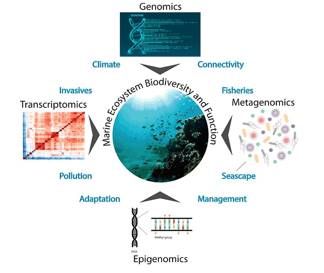 해양분자생태학 실험실 소개 사진